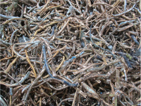 スクラップどう